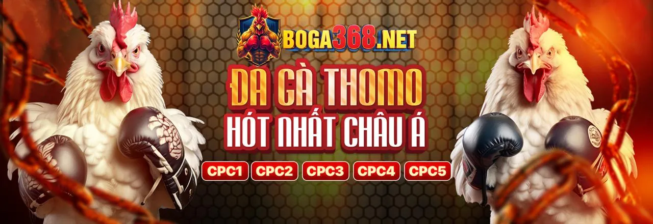 Tầm nhìn tương lai của okking99 info