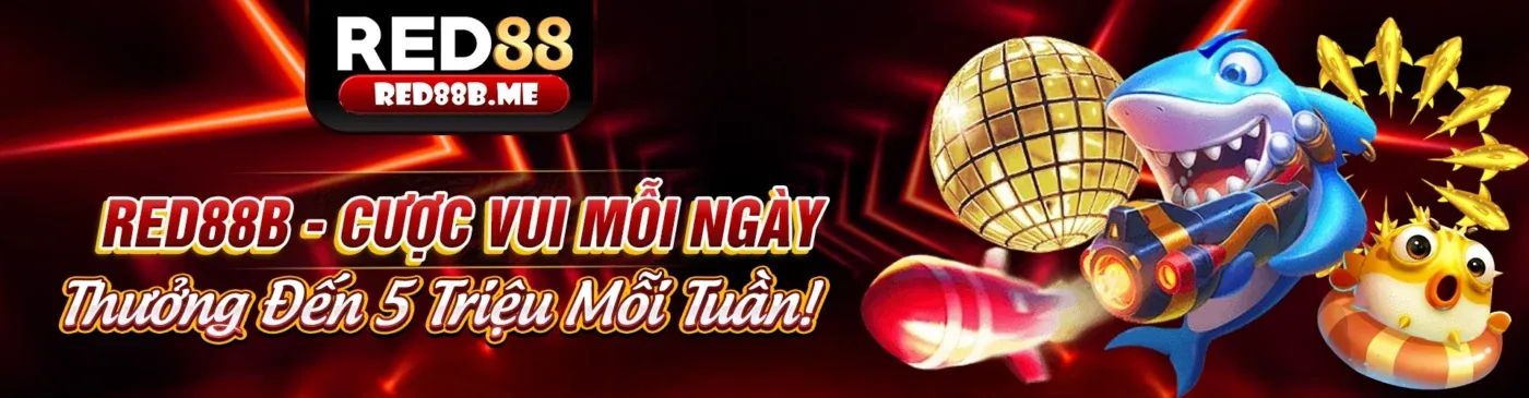 Phương thức Thanh toán okking99 info